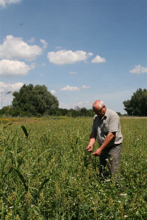Tematické foto: poľnohospodár kontroluje úrodu, alebo vizualizácia moderného hospodárstva.