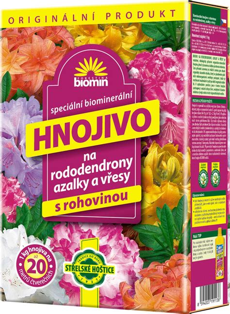 aplikácia špeciálneho hnojiva pre rododendrony