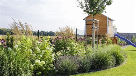 Infografika výberu rastlín podľa svetelných podmienok