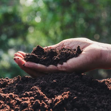 Tematické foto: úrodná záhradná zemina v rukách záhradníka