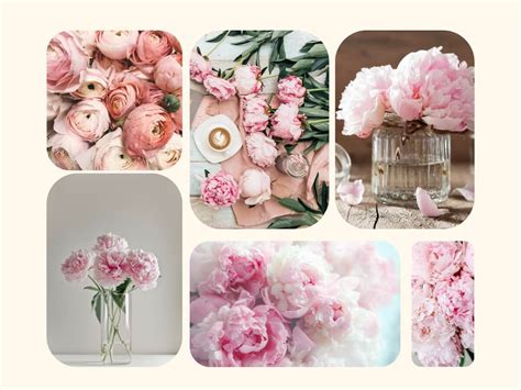 Koláž rôznych typov kvetináčov a materiálov