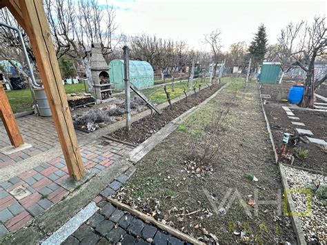 Záhradka s mladými jabloňami a ovocím