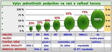 Ilustrácia rôznych podpníkov a ich vplyvu na veľkosť jablone