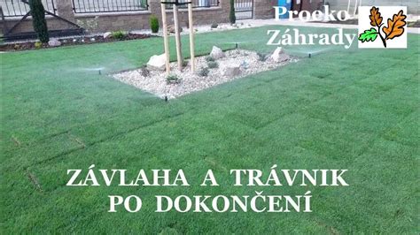 Zelené lány kobercového trávnika u producenta