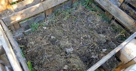 ukážka zrelého kompostu a jeho použitia v záhrade