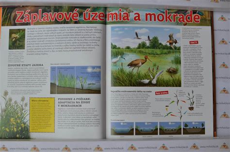 schéma znázorňujúca kolobeh života komára a faktory ovplyvňujúce jeho rozmnožovanie