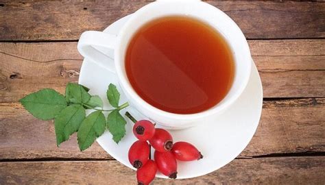 Šípkový čaj v šálke s čerstvými šípkami a medom