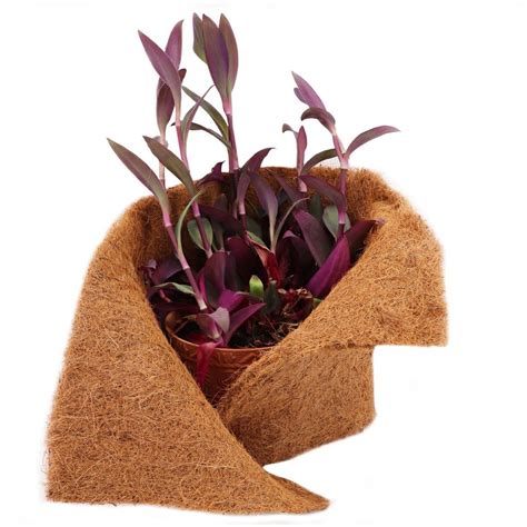 Infografika porovnania rašeliny a kokosového vlákna ako substrátov