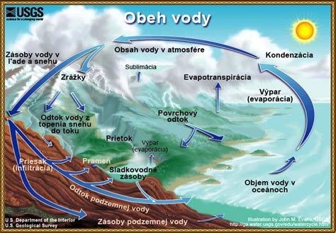 Detailná infografika: Kolobeh vody a uhlíka v lesnom ekosystéme
