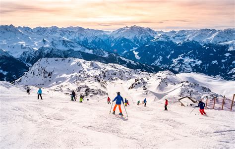 Tematická fotografia marhuľového sadu v Rakúsku