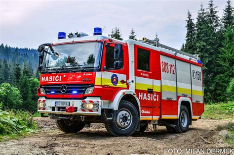 Ilustračné foto - cesnakové pole