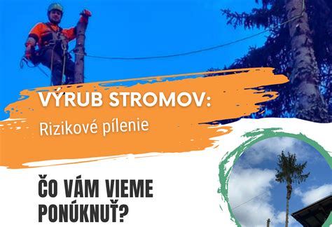 Schéma znázorňujúca tri základné techniky výrubu: bežný výrub, postupný výrub a spúšťanie častí stromu pomocou kladiek.