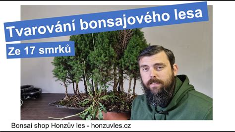 Fotografia miniatúrneho bonsajového lesa