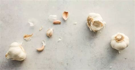 Infografika správneho osevného postupu pre cesnak