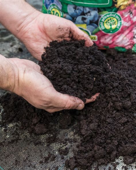 Infografika znázorňujúca miešanie odmerky hnojiva v krhle a aplikáciu na mierne vlhký substrát.