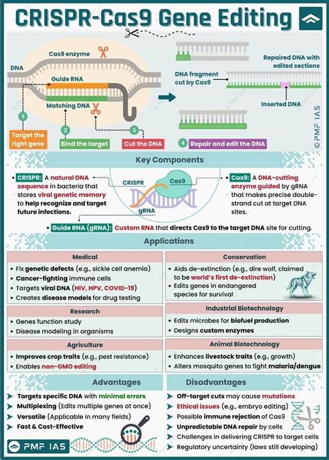 Infografika technológie CRISPR-Cas9