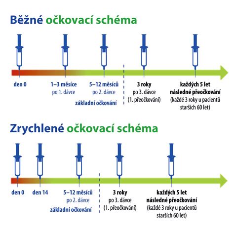 Schéma T-očkovania a Forkertovho očkovania