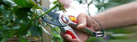 Ilustrácia orezávania stromu s dôrazom na bezpečnosť