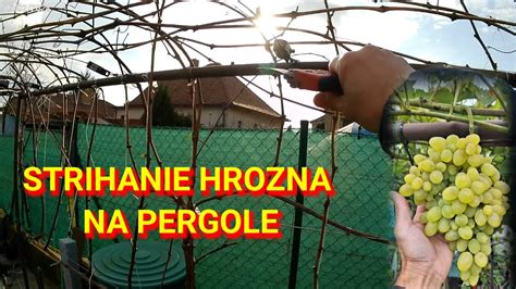 Rôzne typy oporných systémov pre vinič (pergola, drôtený systém)