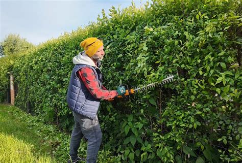Fotografia elektrických nožníc na živý plot
