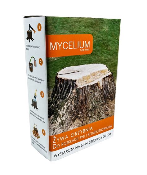 Detailný pohľad na mycélium prerastajúce cez tmavý substrát v pestovateľskom boxe