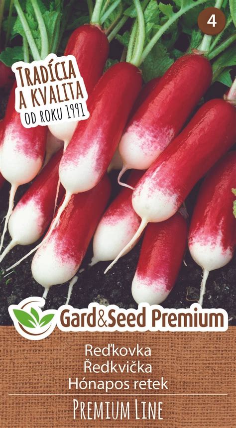 ilustrácia rôznych odrôd reďkoviek (červená, biela, čierna, podlhovastá)