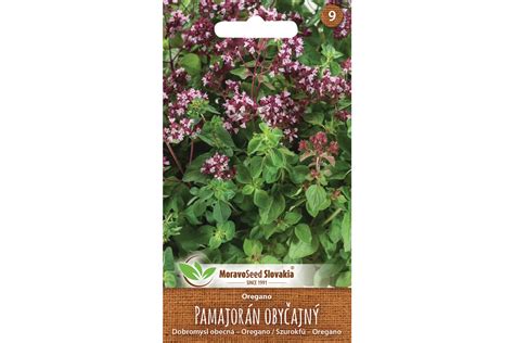 Tematické foto oregano rastlina