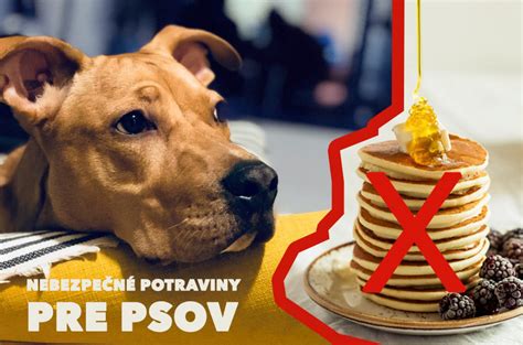 infografika znázorňujúca toxické potraviny pre psov s dôrazom na hrozno