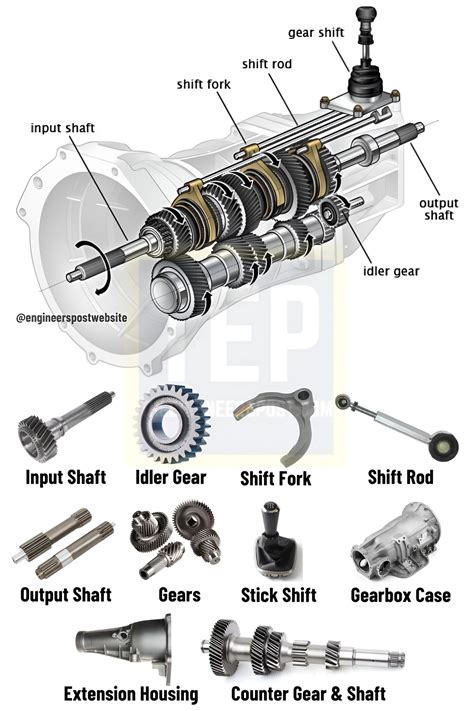 Ilustrácia stromu broskyne s popisom jeho častí