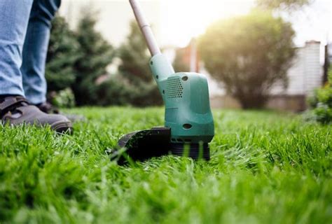 schéma hnojenia trávnika počas roka s odporúčanými živinami