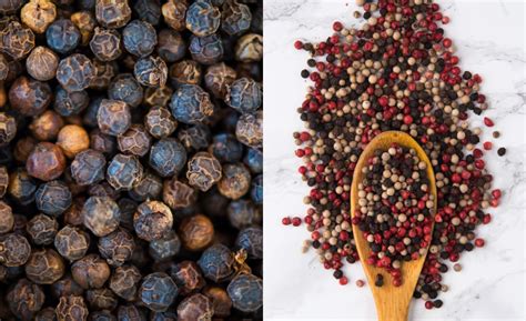 rozdielne druhy korenia z pieporu čierneho: čierne, zelené, biele, červené