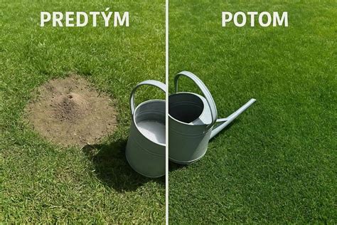 Schéma uloženia nášľapných kameňov v trávniku s vyznačeným odstupom podľa dĺžky kroku