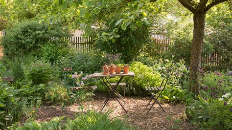 Tematické foto záhrady s mrazuvzdornými citrusmi v zime