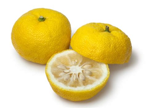 Plody Yuzu