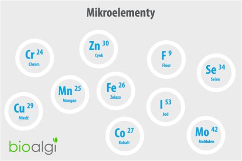 Infografika: požiadavky bôbu na živiny a mikroelementy