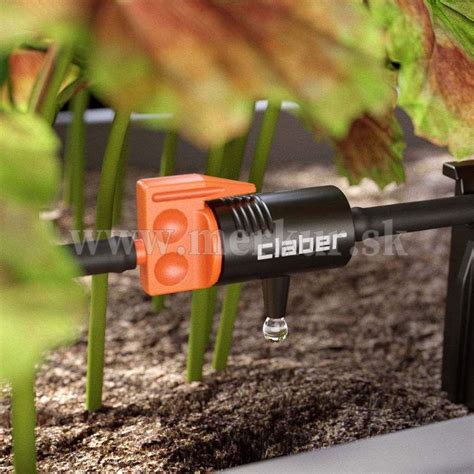 Obrázok samozavlažovacieho hrantíka s jahodami, prípadne ukážka kvapkovej závlahy