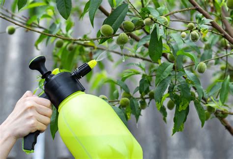 grafika: vplyv počasia na účinnosť postreku