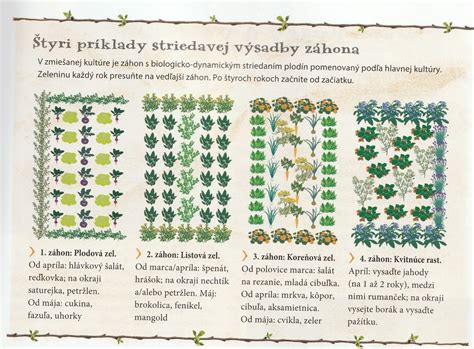 Návrh architekta: Prehľad plánu výsadby záhona s vyznačenými druhmi