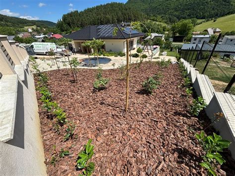 Informatívna schéma služieb: od návrhu záhradného architekta až po realizáciu trávnika