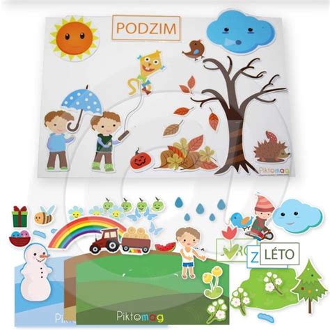 Schéma optimálnych období na presádzanie borovice (jar, jeseň, zima pre veľké stromy)
