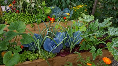 Zelenina a kvety rastúce v skleníku