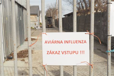 Fotografia modernej prevádzky záhradníctva v Špačinciach