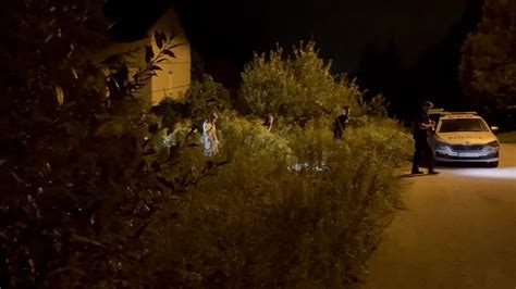 Tematické foto: Muž kosí s kosou v rannej rose na kvetinovej lúke