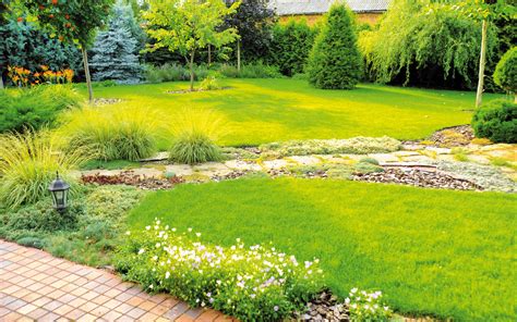 infografika: základné kroky pri zakladaní zeleninovej záhrady (plánovanie, príprava pôdy, výsev, starostlivosť, zber)