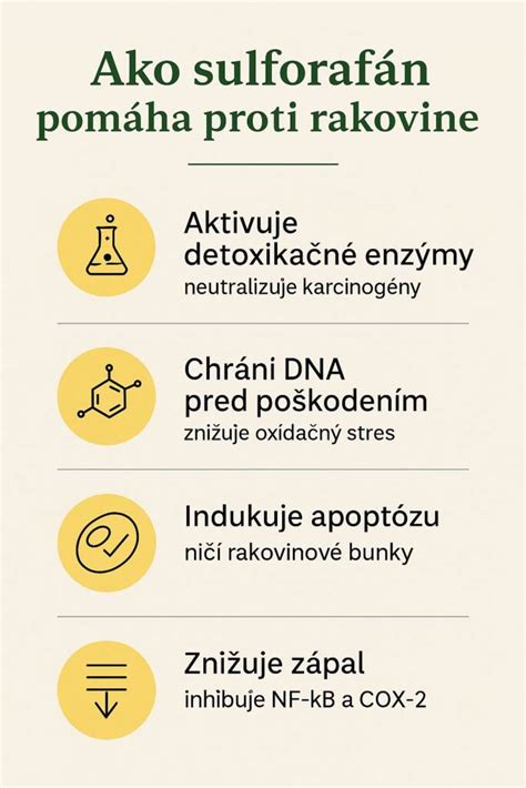 Infografika zobrazujúca hlavné bioaktívne látky v hrozne a ich účinky