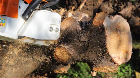 Schéma legislatívneho postupu pri žiadosti o výrub stromu na súkromnom pozemku