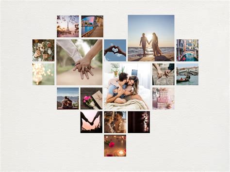 Koláž fotografií rôznych druhov brečtanu