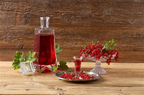 Schéma prípravy domáceho trnkového likéru: od zberu, cez lúhovanie až po hotový produkt vo fľaši.