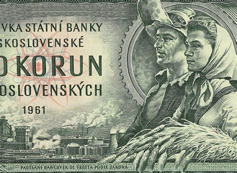 Ilustračný obrázok zlatobyle obyčajnej
