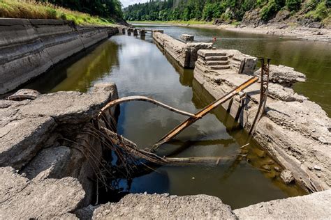 Tematické foto zelenej hladiny pokrytej žaburinkou